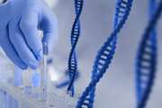 Gene therapy a new approach in dentistry: human or microbial gene modification